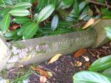image of grave number 321808